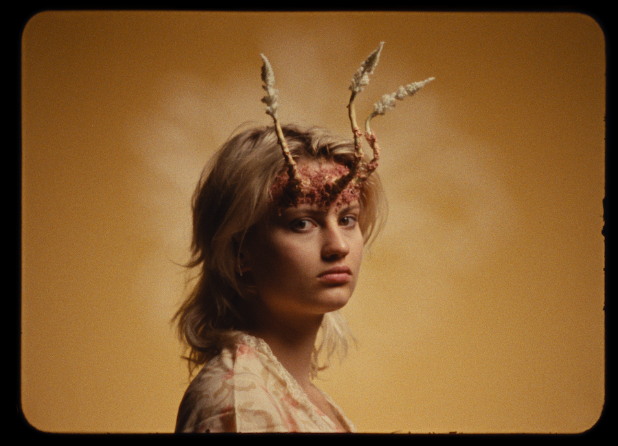 Ein romantisches Abendessen 